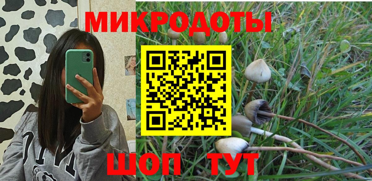 Галлюциногенные грибы Psilocybine cubensis Анжеро-Судженск