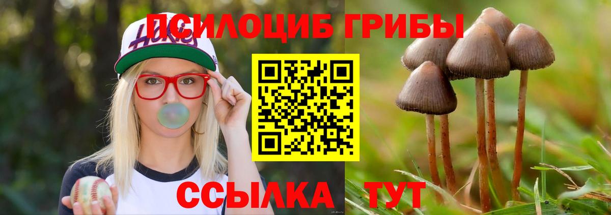 Галлюциногенные грибы прущие грибы  Галлюциногенные грибы ЛСД  Анжеро-Судженск  Вход с VPN 
